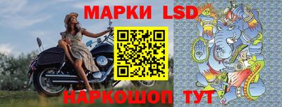прущие грибы Краснокаменск