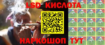 молекула духа Краснодар