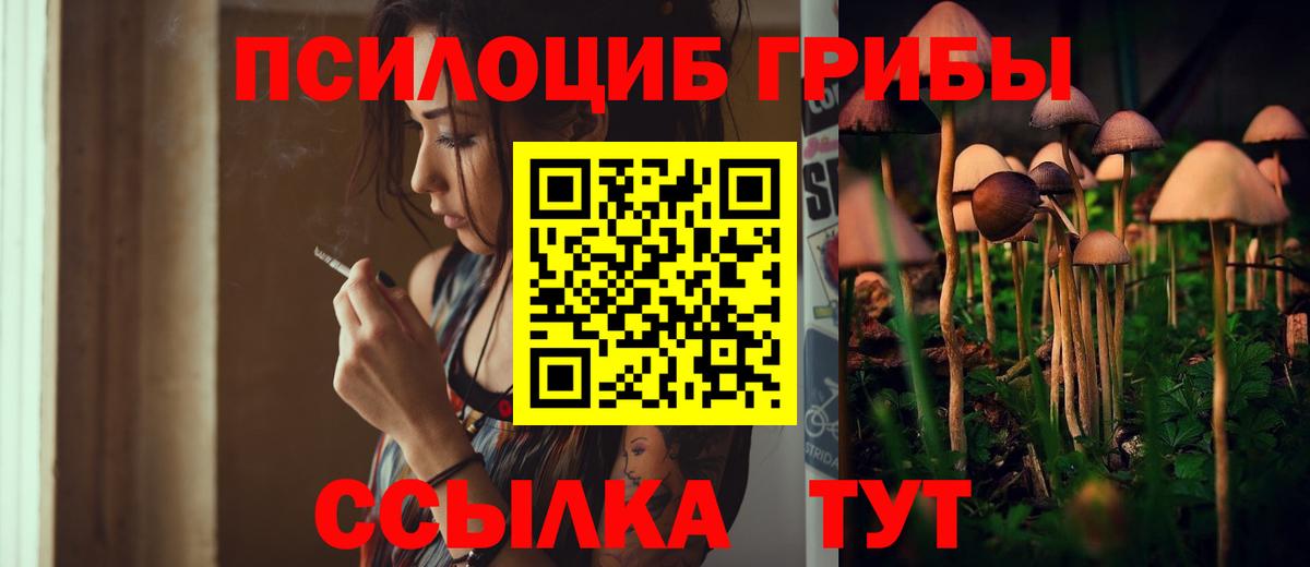 Псилоцибиновые грибы Psilocybine cubensis Изобильный