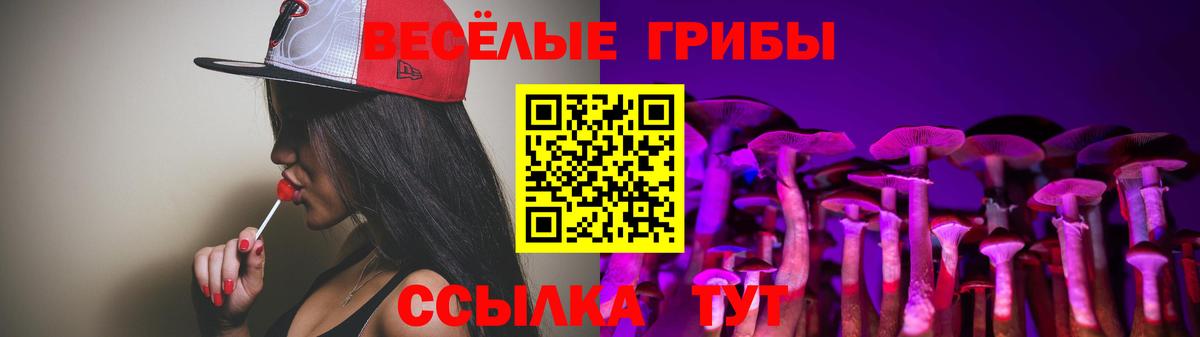 Галлюциногенные грибы Psilocybine cubensis  Вход с VPN  сколько стоит  Изобильный 